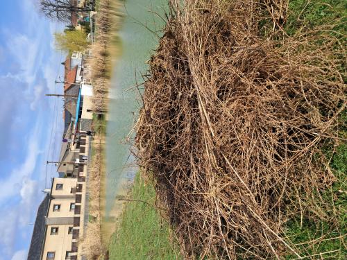 Úklid Česka a Podsedicka